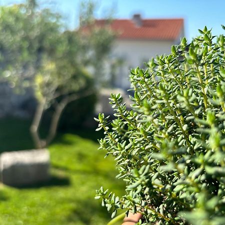Va Kastav Apartment Luaran gambar