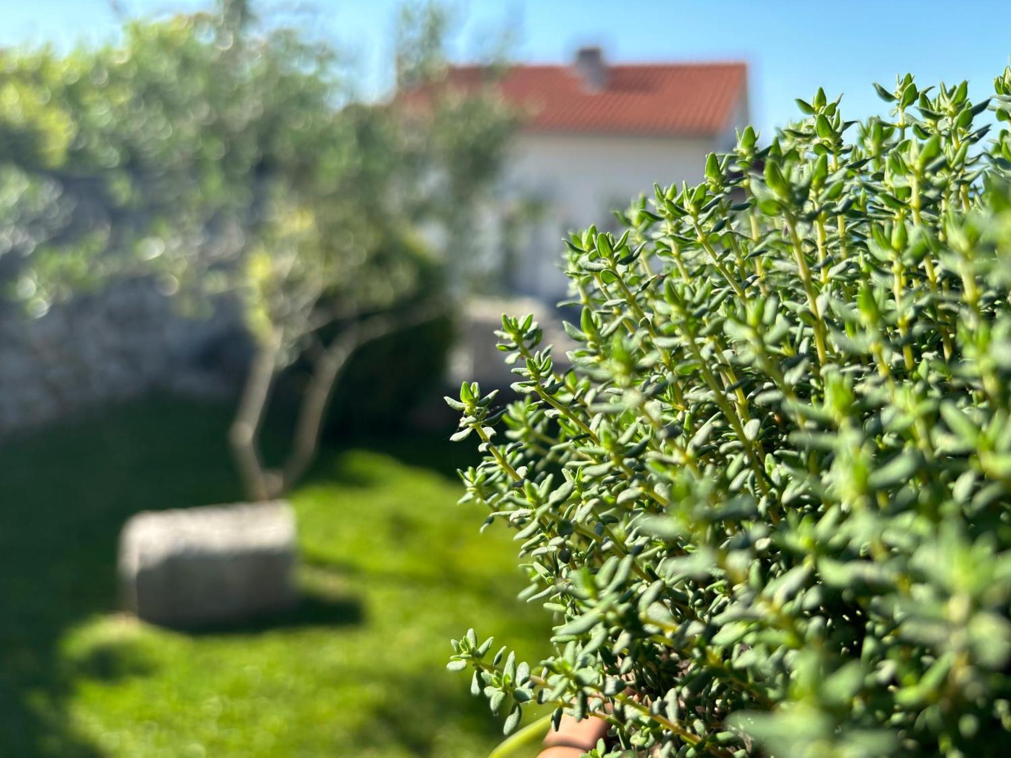 Va Kastav Apartment Luaran gambar